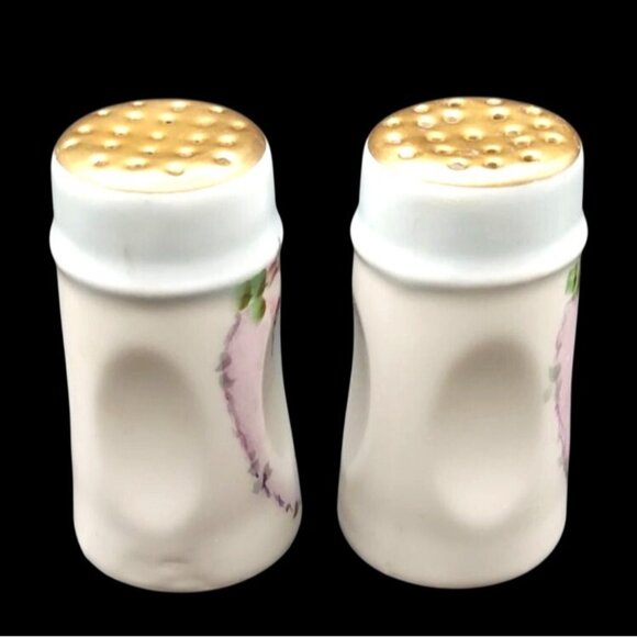 Vintage Bavaria Cameo Rose Hand-Painted Porcelain Salt & Pepper Shakers - Picture 5 of 6
